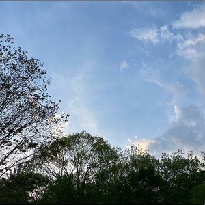 Meet your Posher, Mia